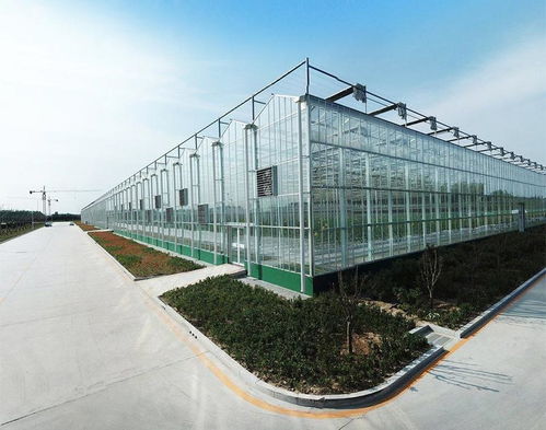 丰贸温室公司 专业打造日照温室大棚工程，提供一站式安装服务