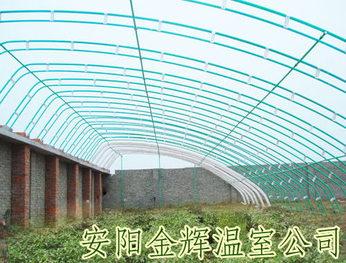 温室大棚建造与蔬菜大棚安装全攻略 从规划到专业服务