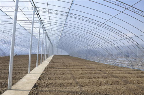 欣盛温室 以服务为先的莱芜蔬菜大棚搭建专家