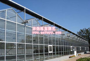 温室大棚建设全方位指南 厂家选择、价格构成与专业安装服务