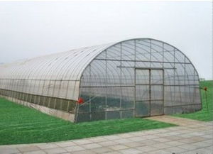 现代温室大棚安装服务 助力农业高效与可持续发展