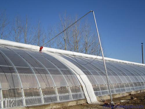河北蘑菇温室大棚建造与安装服务全指南
