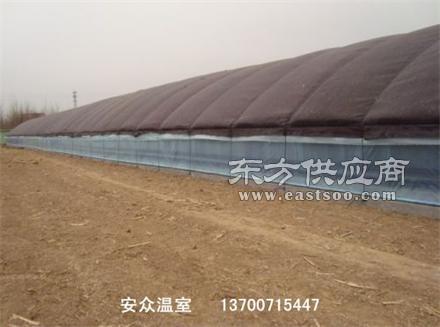 温室大棚技术解析与一站式服务实践——以吉林安众商贸为例