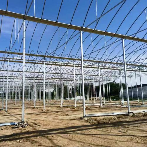 薄膜连栋温室大棚厂 专业温室大棚安装服务解析