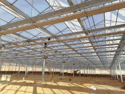 连栋温室大棚驱动系统安装注意事项及专业服务指南