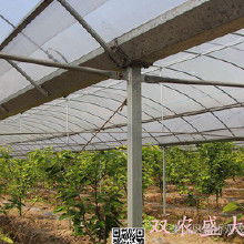 温室大棚及安装全解析 价格、批发渠道与厂家服务指南