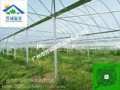 标准连栋拱棚建设成本解析 薄膜温室工程的投入与安装服务要点