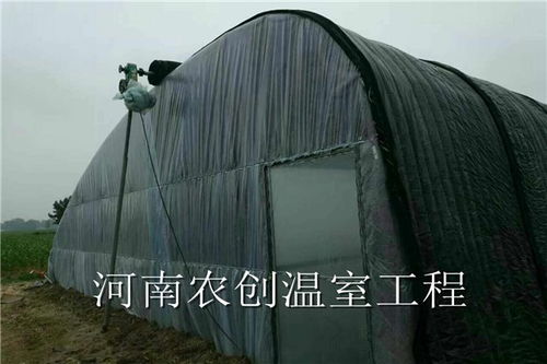 舞钢日光温室大棚造价与周到服务全面解析